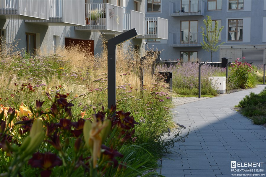 Projekt zieleni osiedlowej na stropie garażu – trawy i byliny